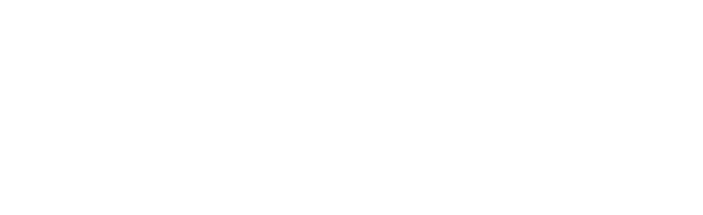 logo firestoke